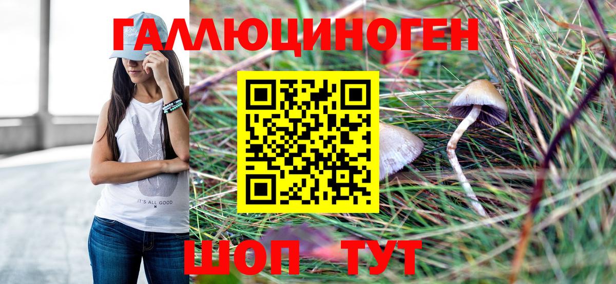 Галлюциногенные грибы GOLDEN TEACHER Тимашёвск