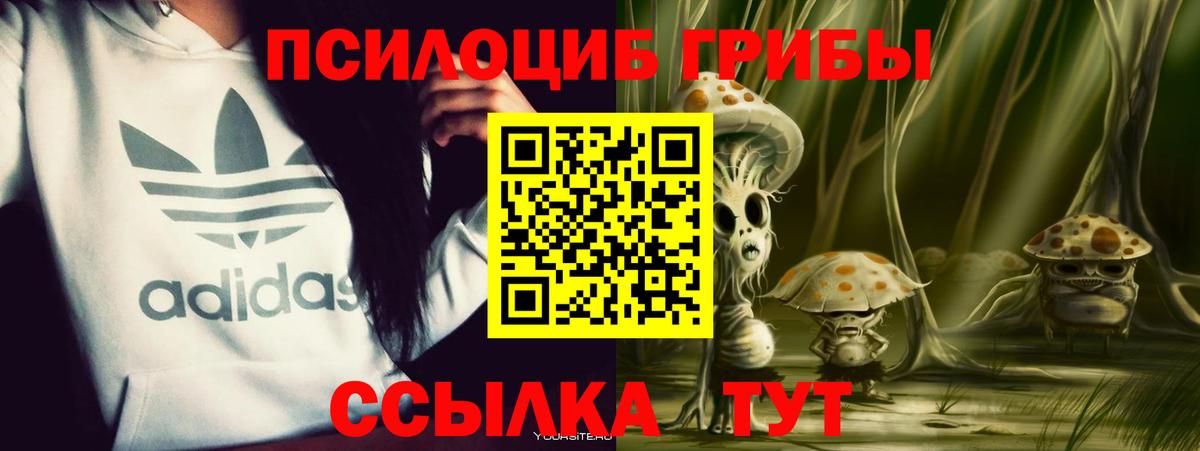 Галлюциногенные грибы Cubensis  Вход с VPN  закладки  Псилоцибиновые грибы ЛСД  Тимашёвск 